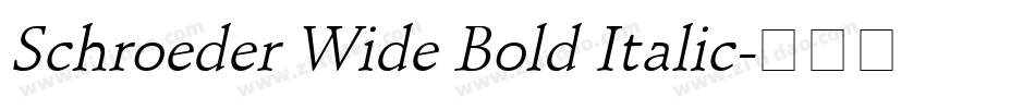 Schroeder Wide Bold Italic字体转换